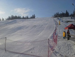 Carve Camp - Zadzia